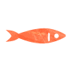 salmon-icon